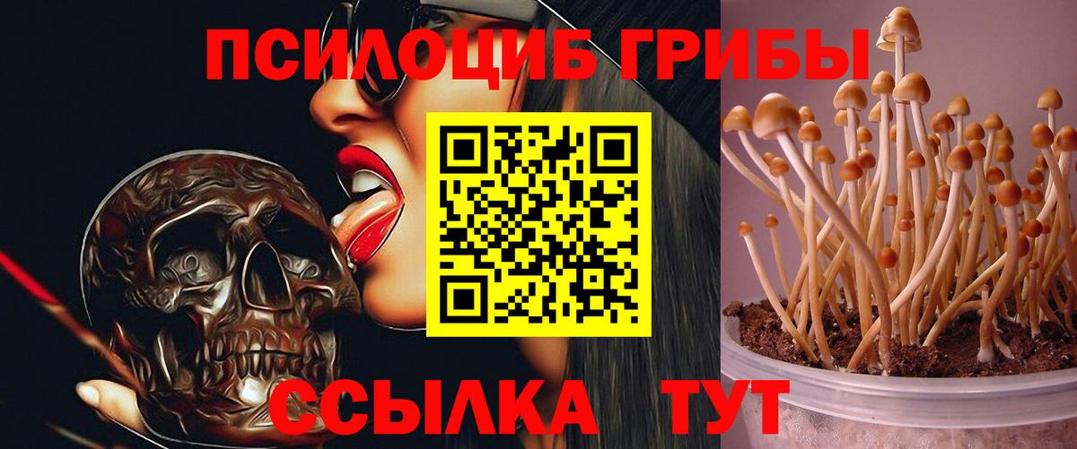 Псилоцибиновые грибы ЛСД Новосибирск